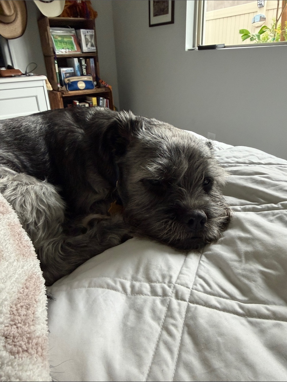 Cozy Gray Quilted Bed Blanket - Soft Comfort